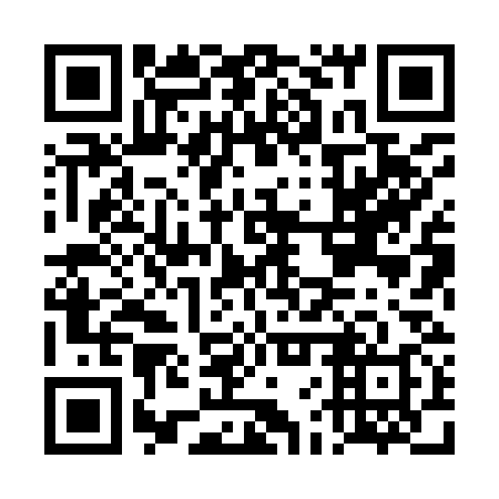 QR code for DFX938
