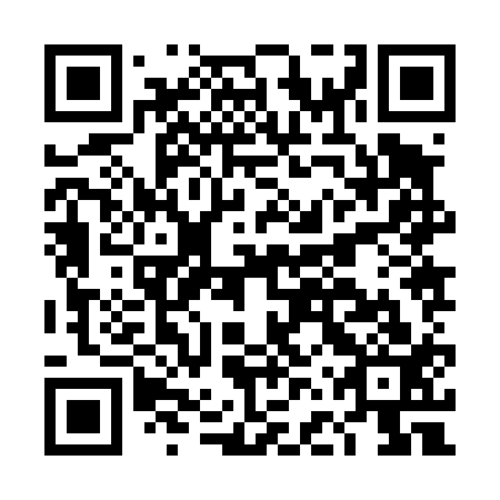 QR code for DFZ 413