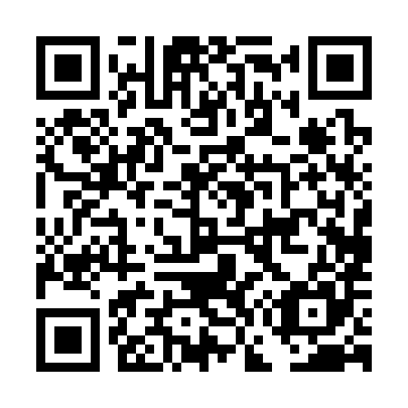 QR code for DG 0385