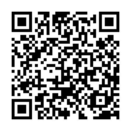 QR code for DG 0451