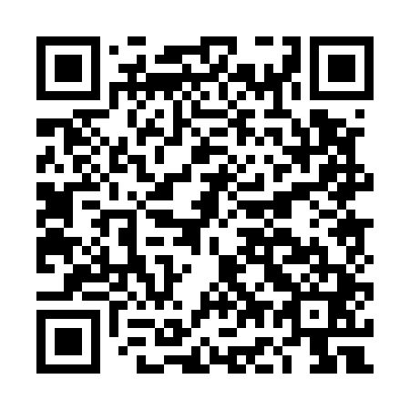 QR code for DG 0541