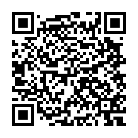 QR code for DG 2011