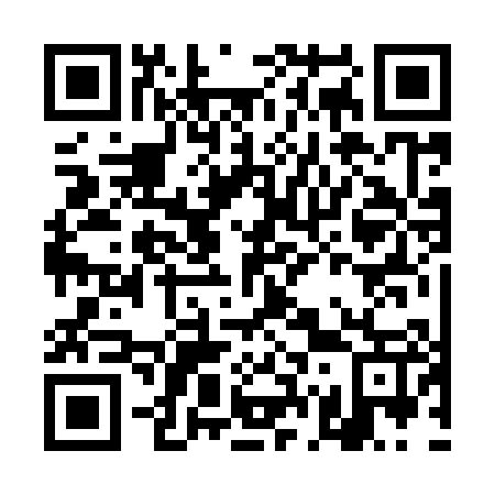 QR code for DG 2907