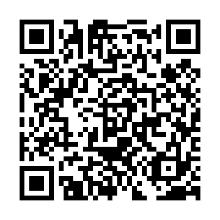 QR code for DG 3433