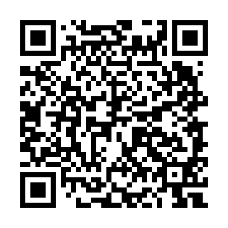 QR code for DG 4690