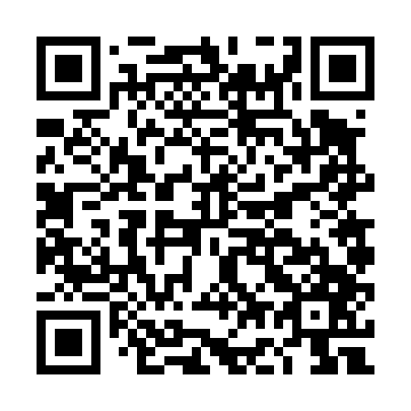 QR code for DG 6447