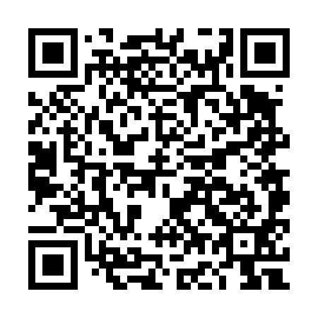 QR code for DG 6491