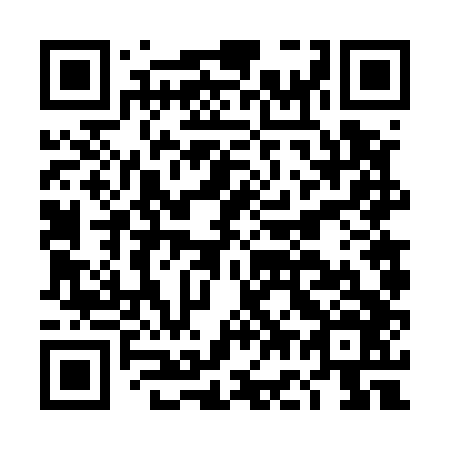 QR code for DG 6546
