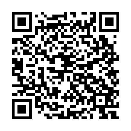 QR code for DG 7303