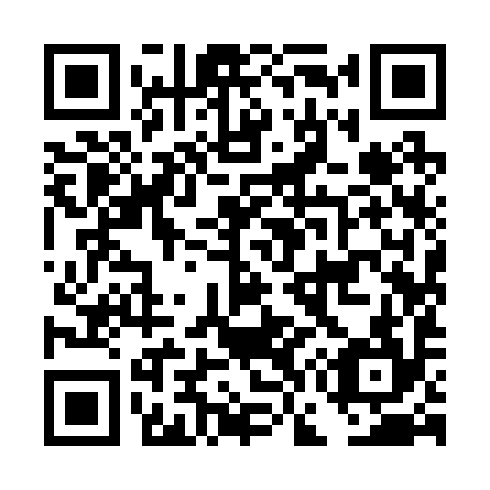 QR code for DG 9294