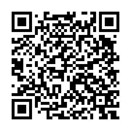 QR code for plate DG 0473