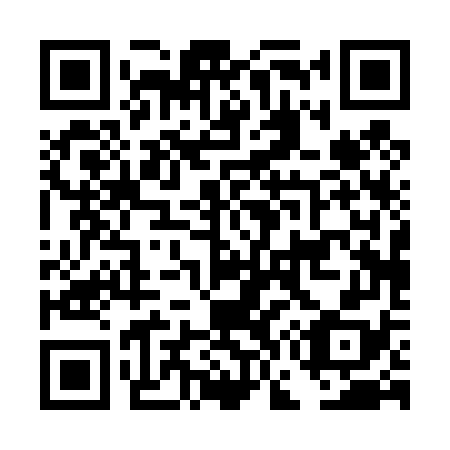 QR code for DG0478