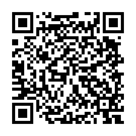 QR code for DG0493