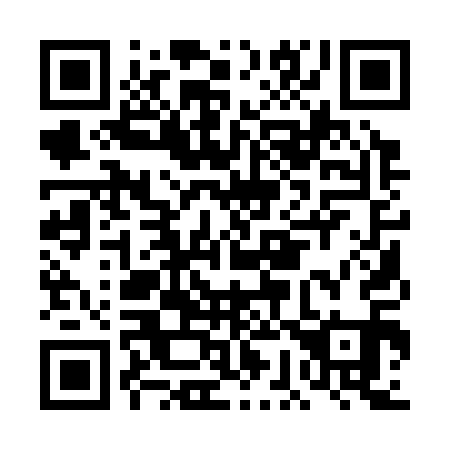 QR code for plate DG 1311
