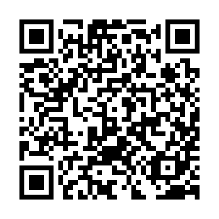 QR code for DG1381