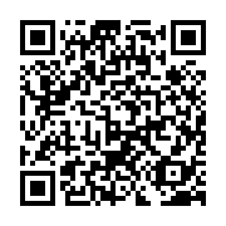 QR code for DG1838