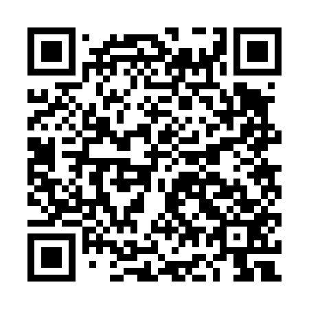QR code for plate DG 2453