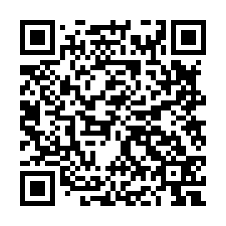 QR code for DG2833