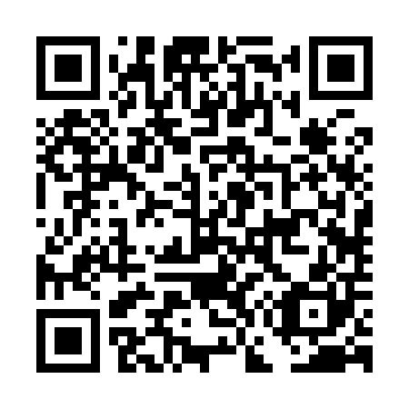 QR code for DG2900
