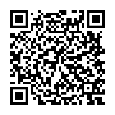 QR code for DG2910