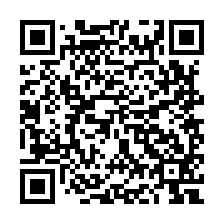 QR code for DG2993
