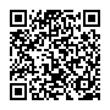 QR code for plate DG 3333