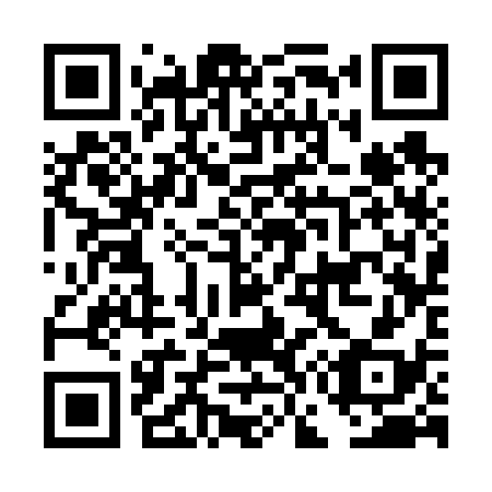 QR code for plate DG 3638