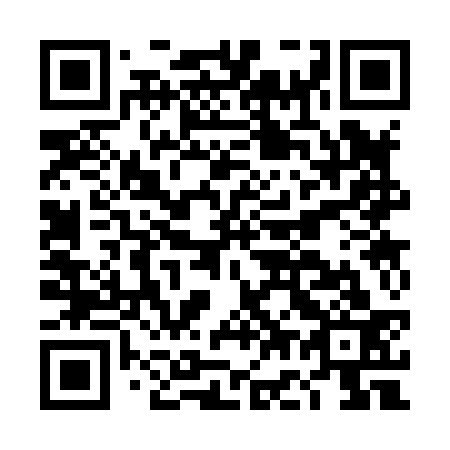 QR code for DG3833