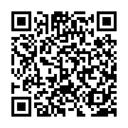 QR code for DG4211