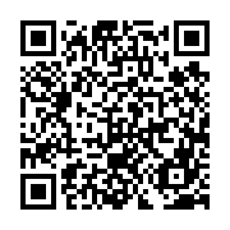 QR code for DG4666