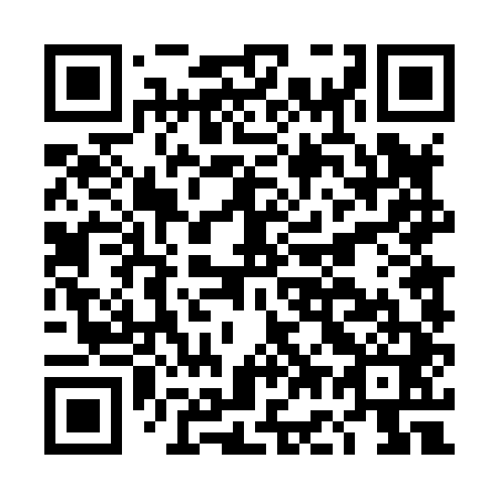 QR code for DG4841