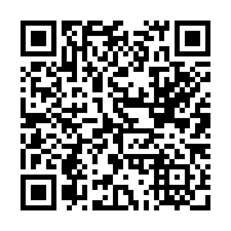 QR code for DG6381