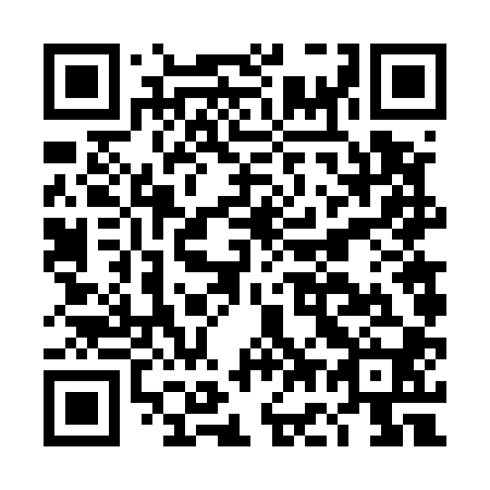 QR code for DG6500