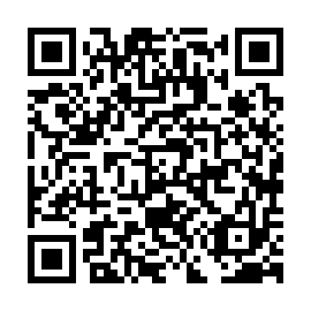 QR code for DG8313