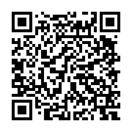QR code for plate DG 8461