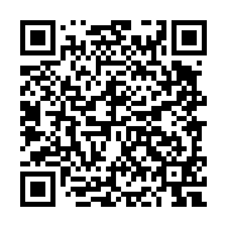 QR code for plate DG 8491