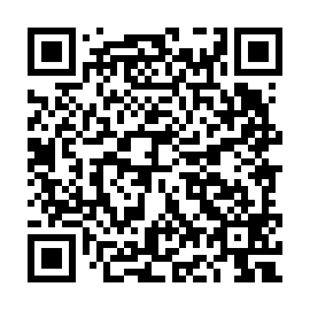 QR code for DG8699