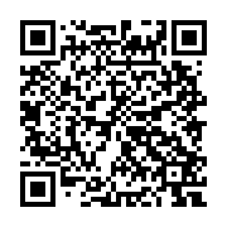 QR code for plate DG 8703