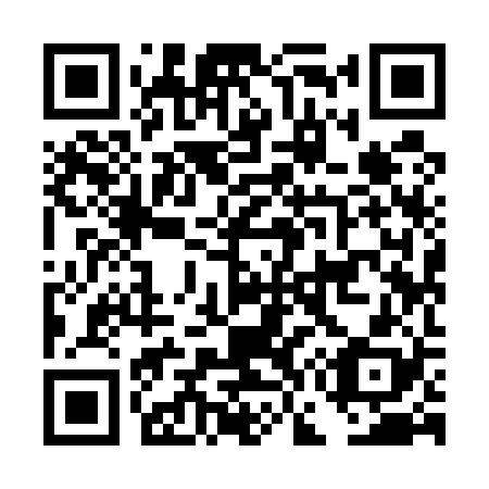 QR code for plate DG 9528