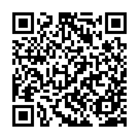 QR code for plate DGC 387