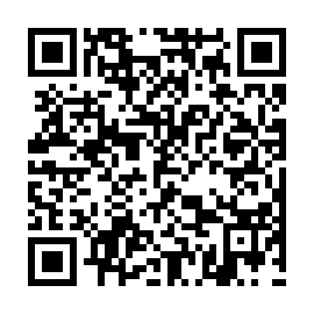QR code for DGG 213