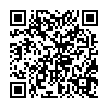 QR code for plate DGG 246