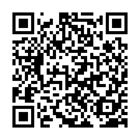 QR code for DGG358