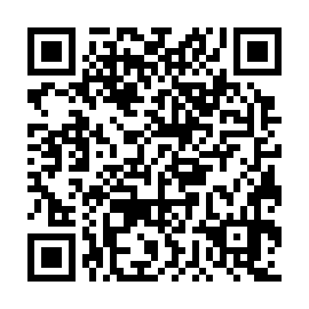 QR code for plate DGG 374