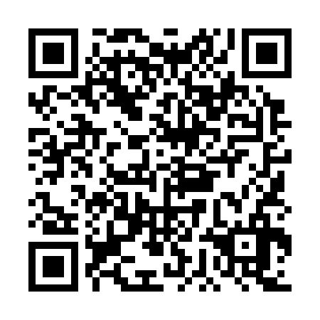 QR code for DGL 336