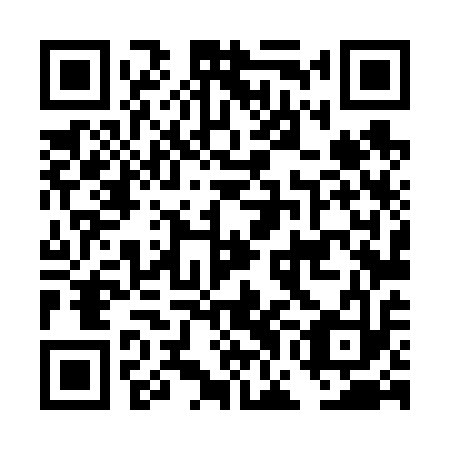 QR code for DGL 613