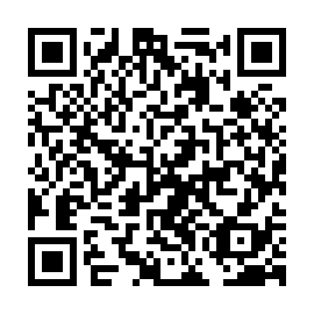 QR code for DGM 838
