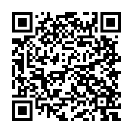 QR code for plate DGM 546