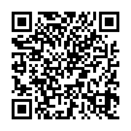 QR code for DGT 439