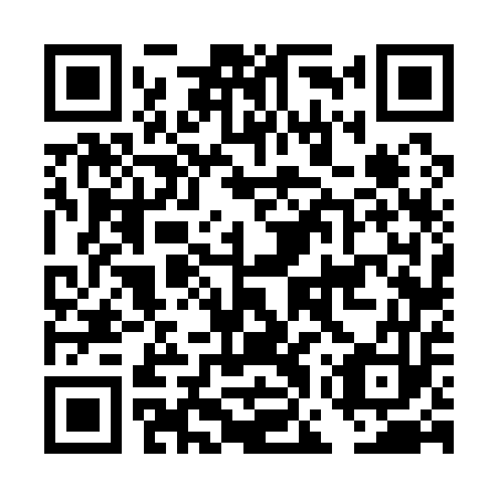 QR code for plate DGV 153